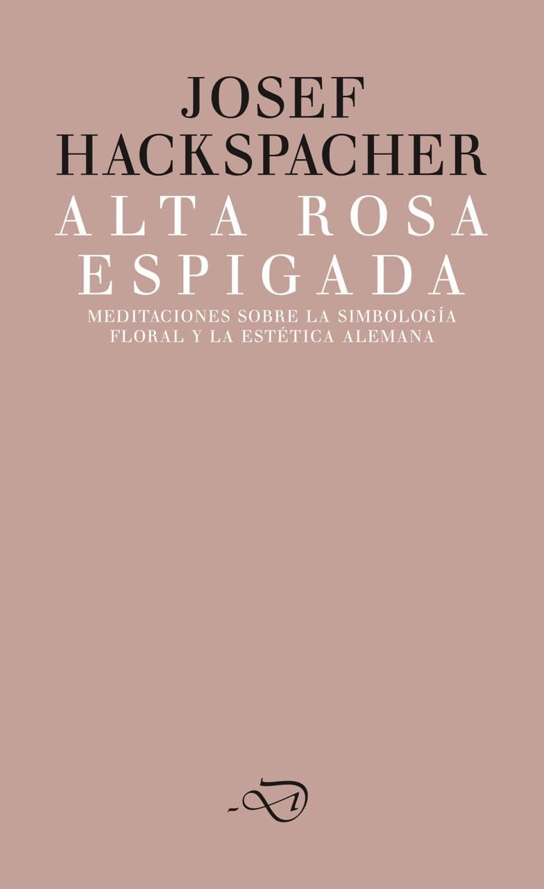 Alta rosa espigada